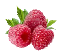 basket with strawberries